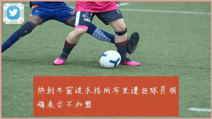 热刺冬窗追求格纳布里遭拒球员明确表示不加盟